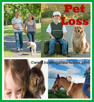 Pet Loss