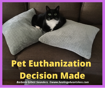 Pet Euthanization Decision Made: Barbara’s Experience